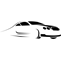 index.html